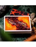 Cardistry