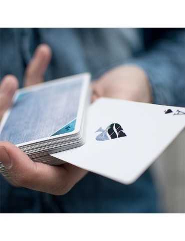 Cardistry